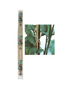Canna bamboo, Ø 1,6-1,8xh.210 cm, 2 pezzi